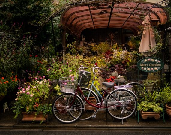 two bikes parked in garden